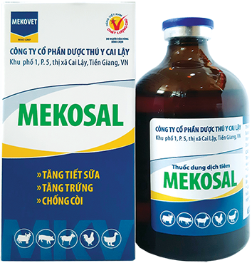 8 MEKOSAL 2 NewA